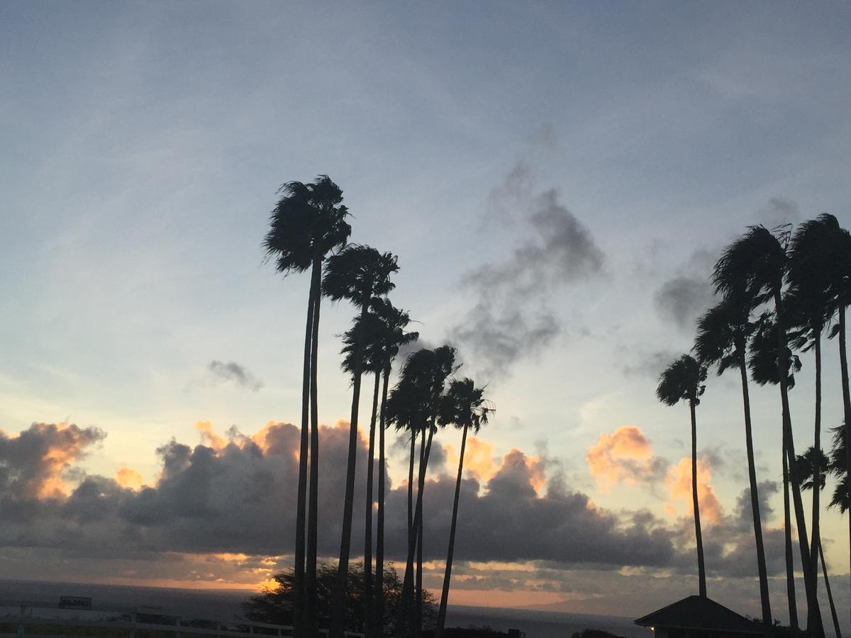 Puakea Ranch Hotel Hawi Luaran gambar